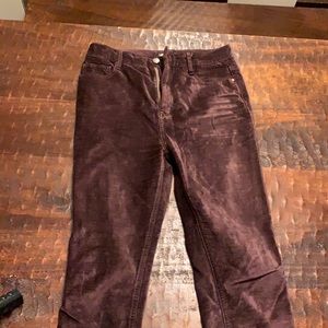 Free People - purple velvet pants!